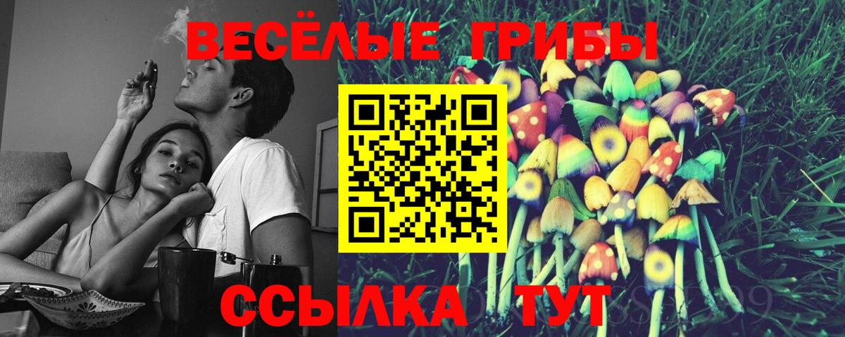 Псилоцибиновые грибы GOLDEN TEACHER  Псилоцибиновые грибы Cubensis  Вход с VPN  Ирбит 